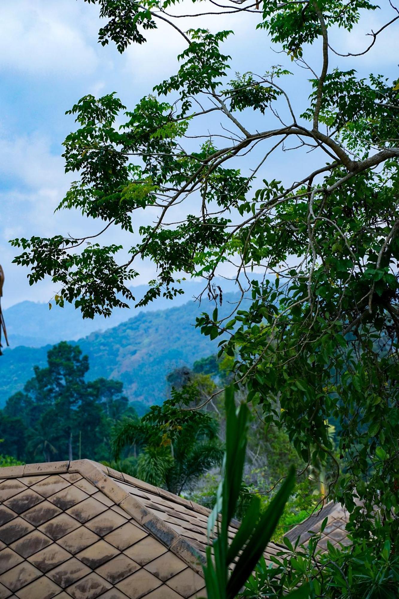 Large 4 Bed Villa Short Walk To Maenam Beach Mae Nam Exteriör bild